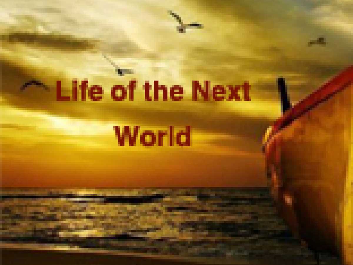 Life of the Next World