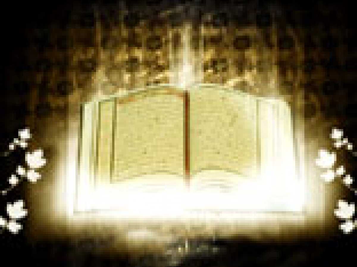 Physical Aspects of the Noble Quran