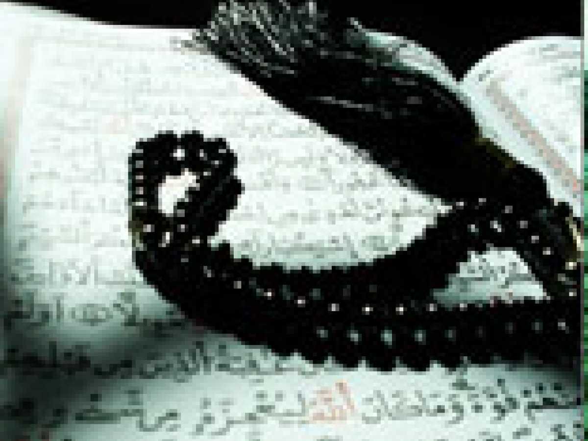 The Qur'an as a Document of Prophet hood