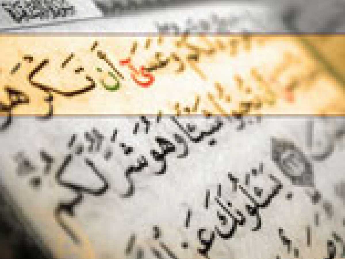 The Language of the Qur'an