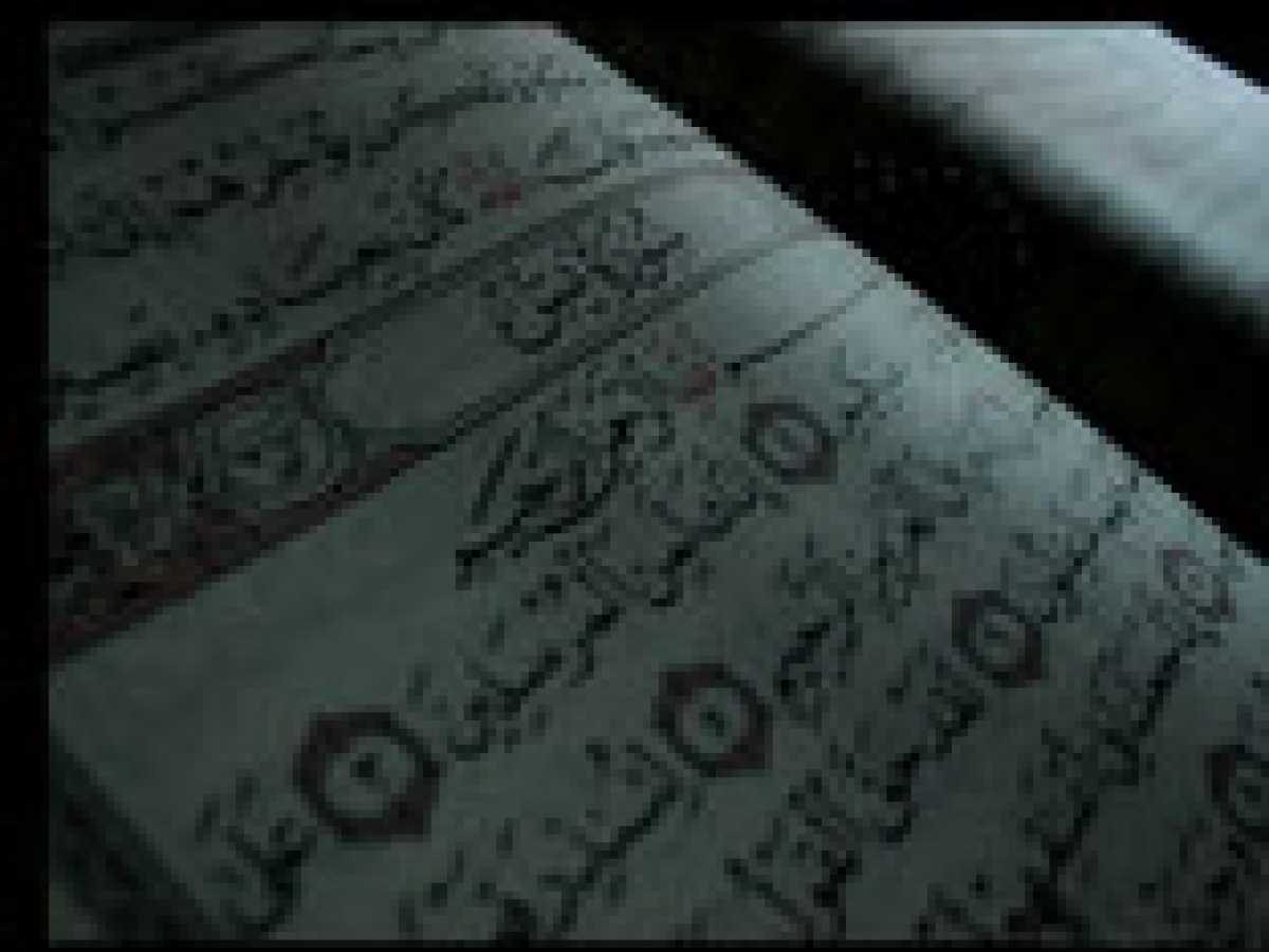 The Glorious Qur'an, Self Illuminating: Important Questions Answered By the Munificent Qura'an
