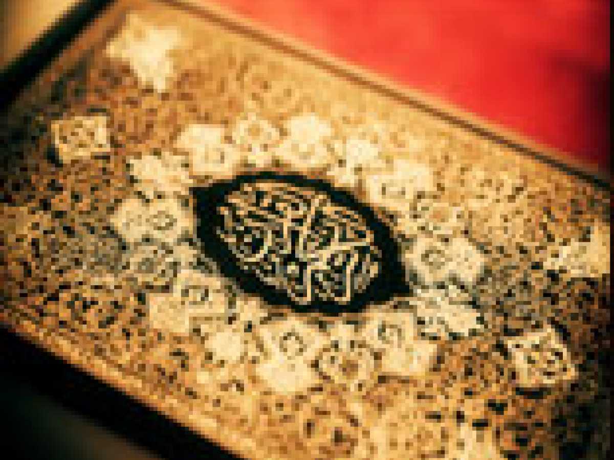 How to be benefited by the Holy Qur'an