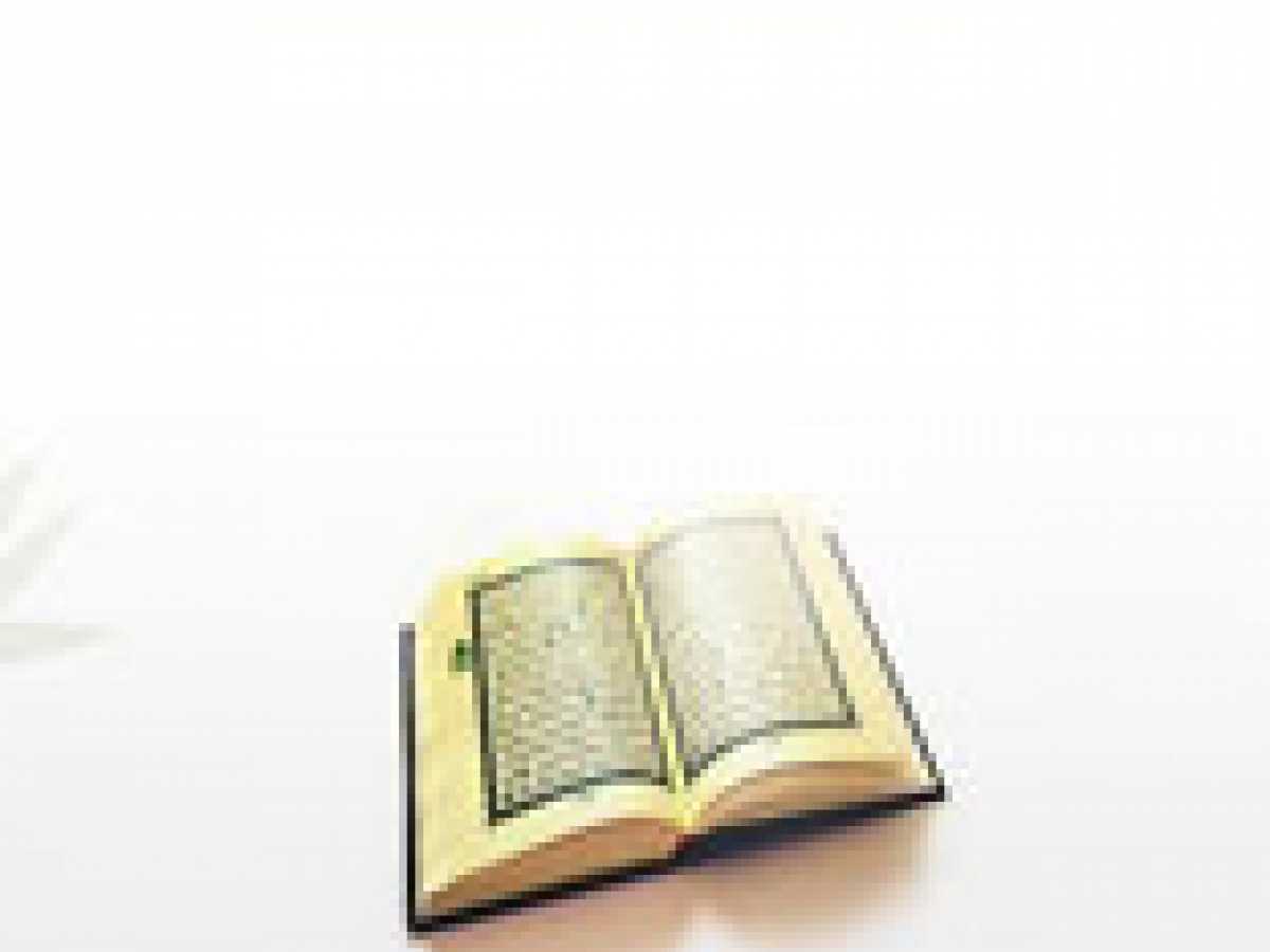 The Sciences Particular to the Study of the Qur'an