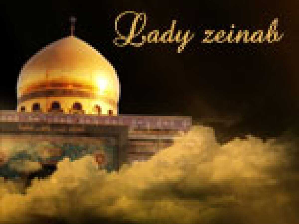 Lady Zeinab's Panic