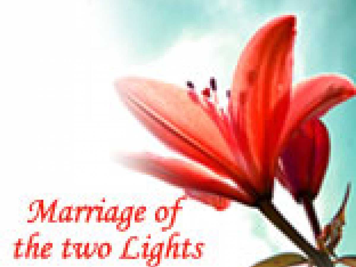Married life of the lady of light
