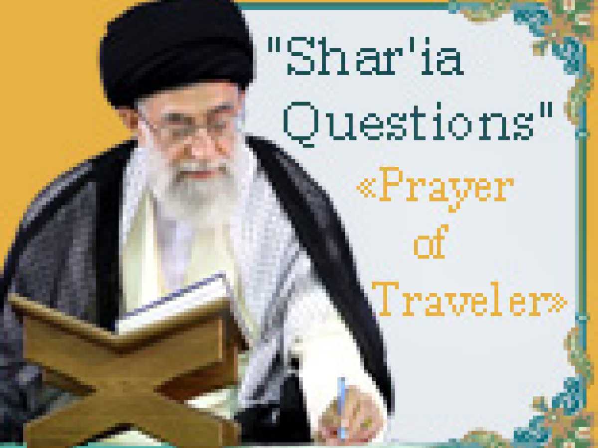 Studying Travel