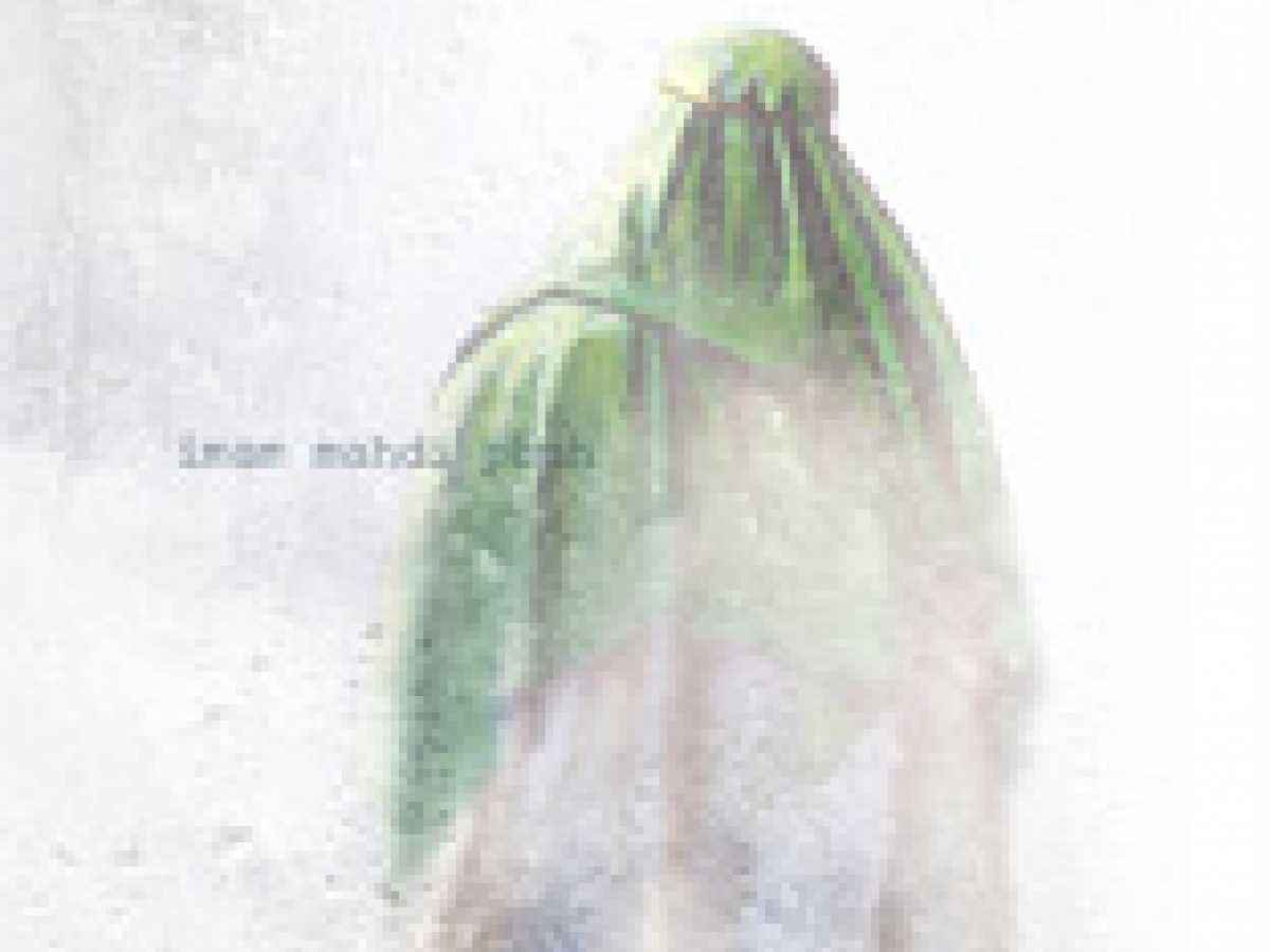 People Awaited the Appearance of the Mahdi