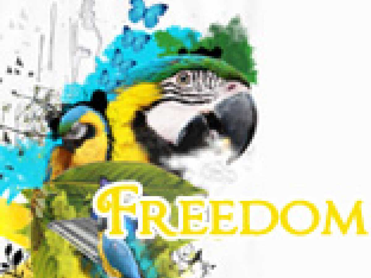 Freedom Parrot