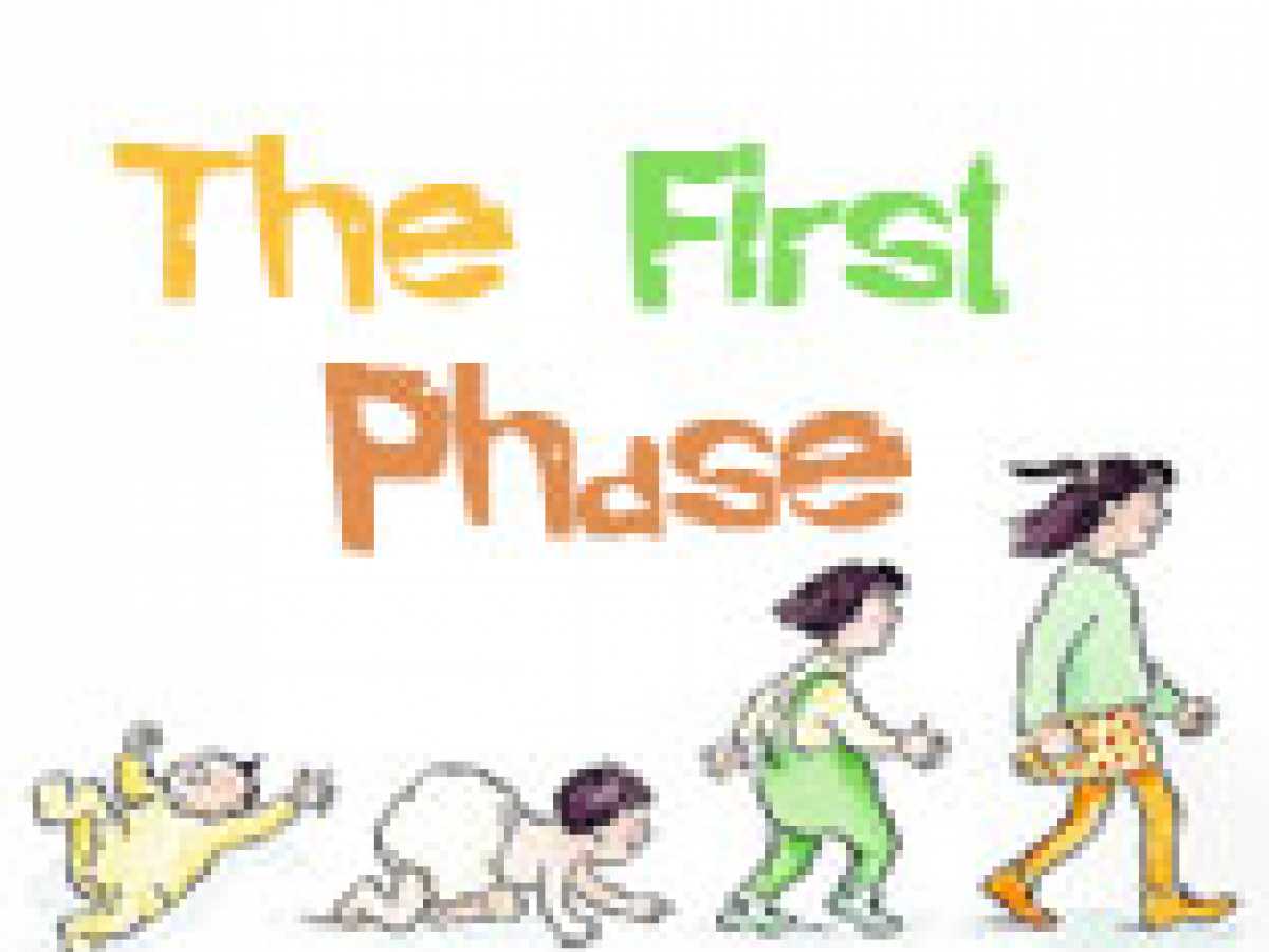 The First Phase (1-7 years)