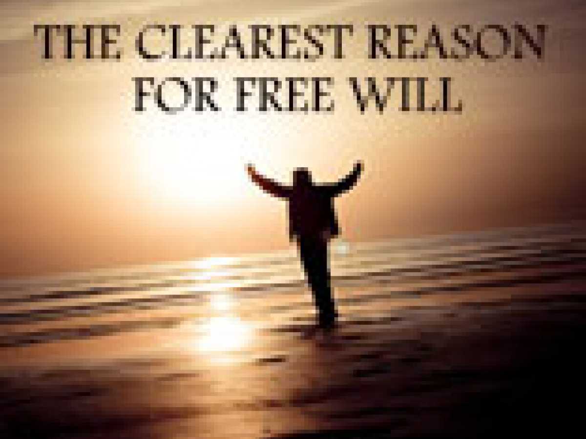 THE CLEAREST REASON FOR FREE WILL