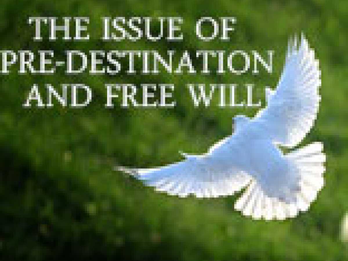 THE ISSUE OF PRE-DESTINATION AND FREE WILL