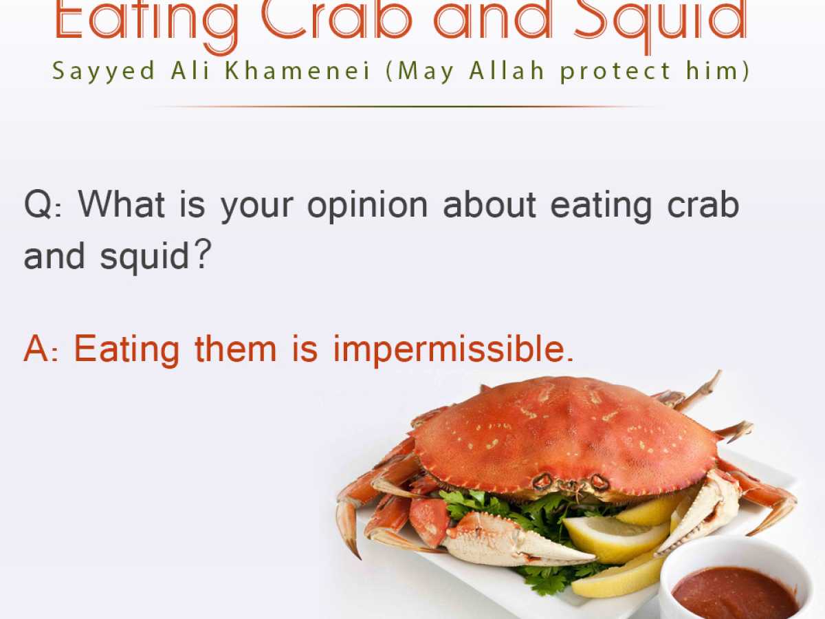 Eating Crab and Squid