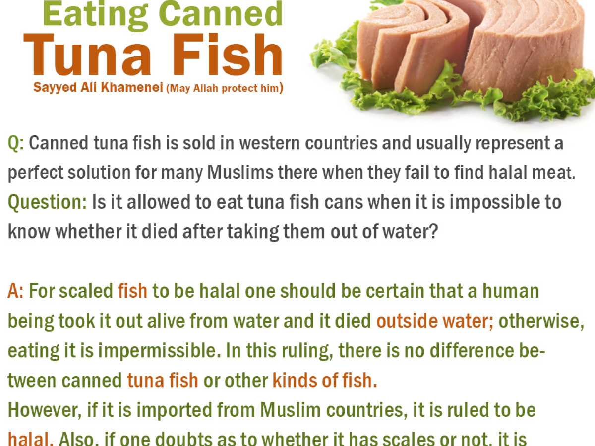 Eating Canned Tuna Fish