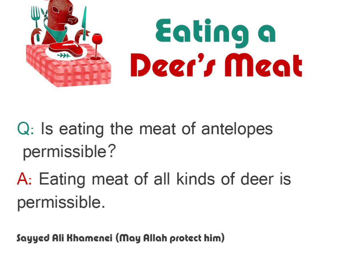 Eating a Deer's Meat
