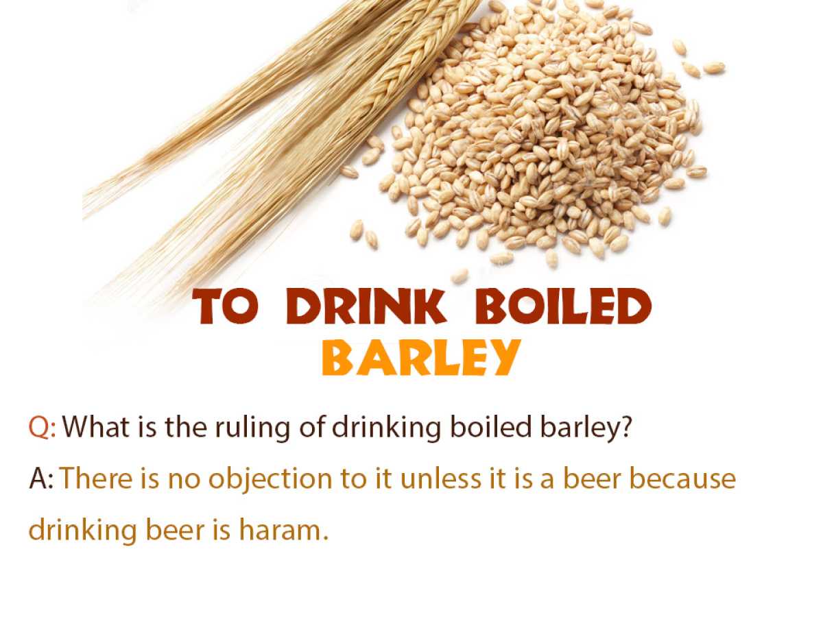 To Drink Boiled Barley