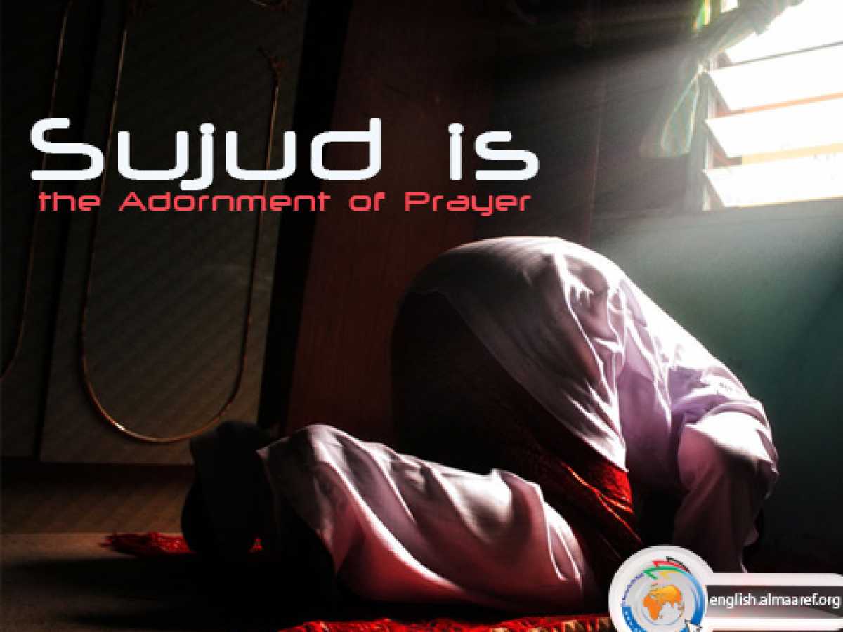 Sujud is the Adornment of Prayer