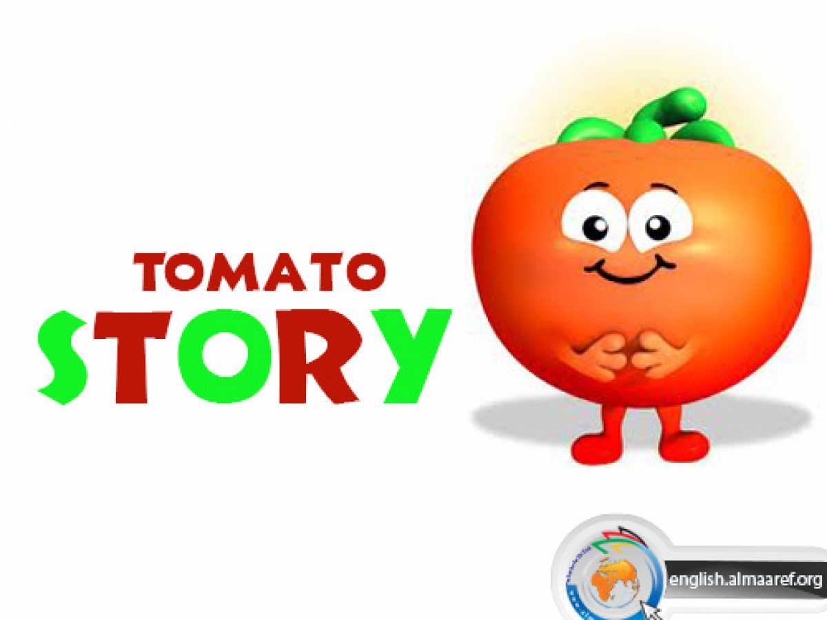 Tomato Story