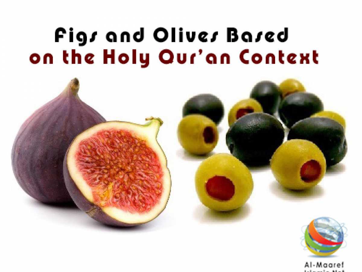 Figs and Olives Based on the Holy Qur'an Context