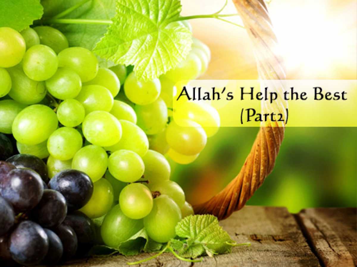 Allah's Help the Best (Part 2)