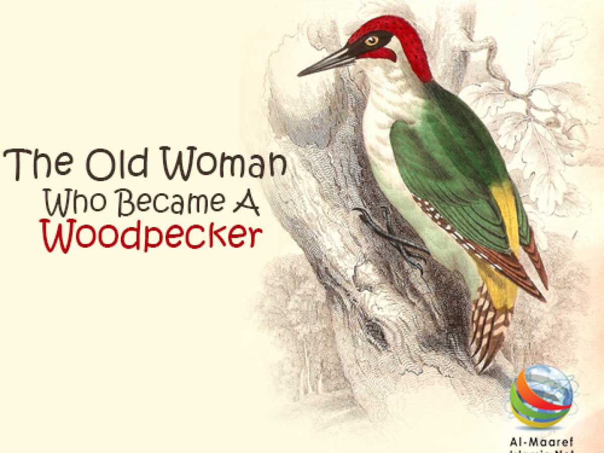 The Old Woman Who Became A Woodpecker