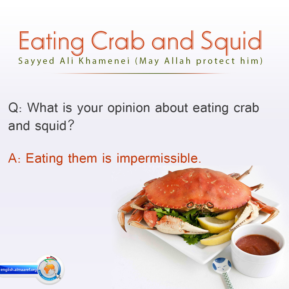 Is It Haram To Eat Squid Is Crab Halal Shia Watch The Video Explanation About How To Catch Cook Squid Online Article Story Explanation Suggestion 